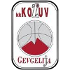 https://img.zgtzzf.com/img/basketball/team/4b06fe02aaa7da5901e5698485059da0.png