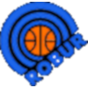 https://img.zgtzzf.com/img/basketball/team/9ca401d3f294463f8754ba69d3d51208.png