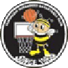 https://img.zgtzzf.com/img/basketball/team/e416830f4083698237c559f8988ddb25.png