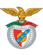 https://img.zgtzzf.com/img/football/team/13d8d22b32e0803f939082416da63541.png