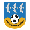 https://img.zgtzzf.com/img/football/team/259a1106a33b56d2bb3c458a62ffa2ea.png