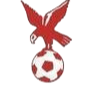 https://img.zgtzzf.com/img/football/team/4802d26df935b78bb2fcdbbff36e8864.png