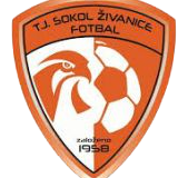 https://img.zgtzzf.com/img/football/team/5477d301041e00b2de35d5eeea2fabb4.png