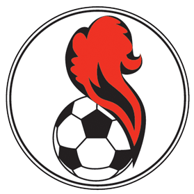 https://img.zgtzzf.com/img/football/team/5541e5015258ae82b121480f4164267d.png