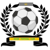 https://img.zgtzzf.com/img/football/team/6dc6d59af2f0962597b412473a6708ee.png