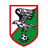 https://img.zgtzzf.com/img/football/team/e6a8908dd206e2ea02d9803c82c60bba.png